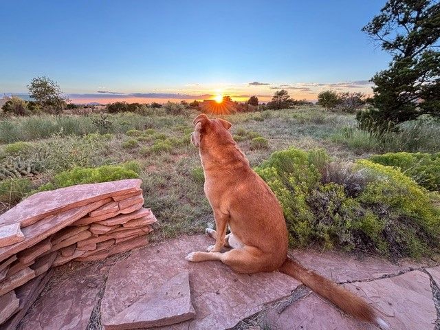 6 Palacio, Santa Fe, NM 87508