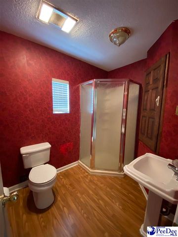 202 S Warley St, Darlington, SC 29532