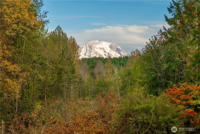 5817 E 398th, Eatonville, WA 98328