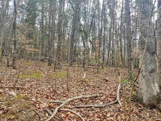 Lot 116 Niver DR, Union Hall, VA 24176