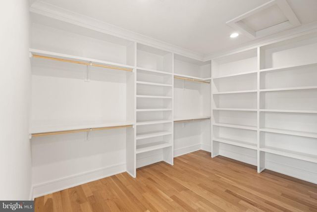 6013 WOODLAND TER, Mclean, VA 22101