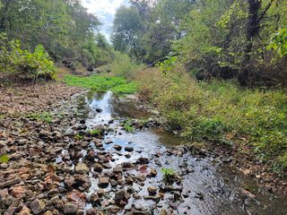 0 Whispering Meadows Lane, Marshfield, MO 65706