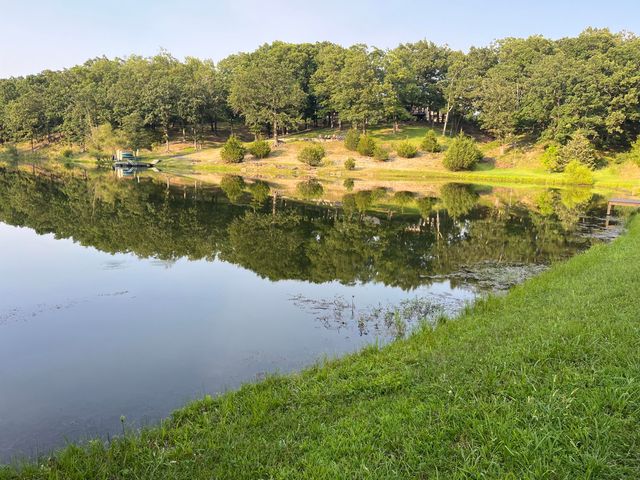 631 Buena Vista Parkway, Strafford, MO 65757