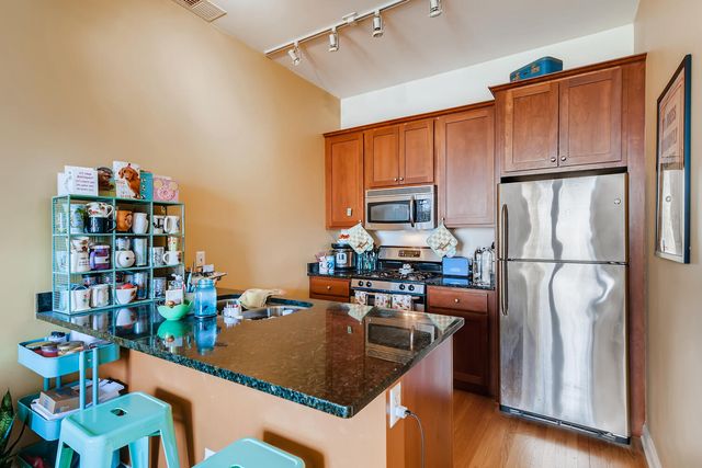 2025 S INDIANA Avenue 302, Chicago, IL 60616