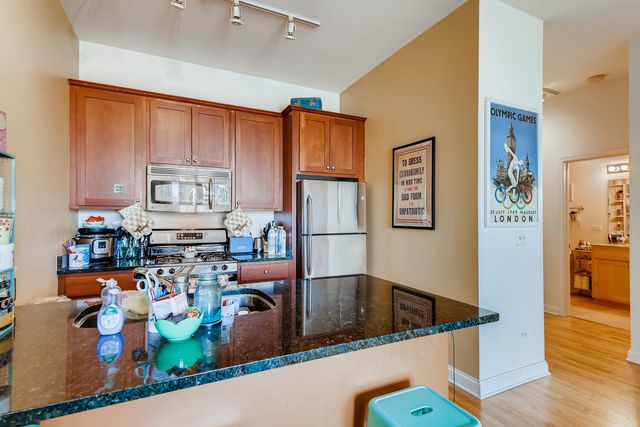 2025 S INDIANA Avenue 302, Chicago, IL 60616