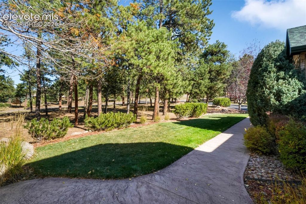 17556 Colonial Park Drive, Monument, CO 80132 — photo 5