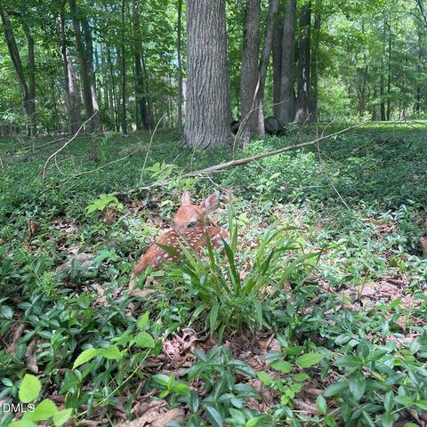 4316 Erwin Road, Durham, NC 27705