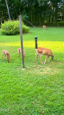 4316 Erwin Road, Durham, NC 27705