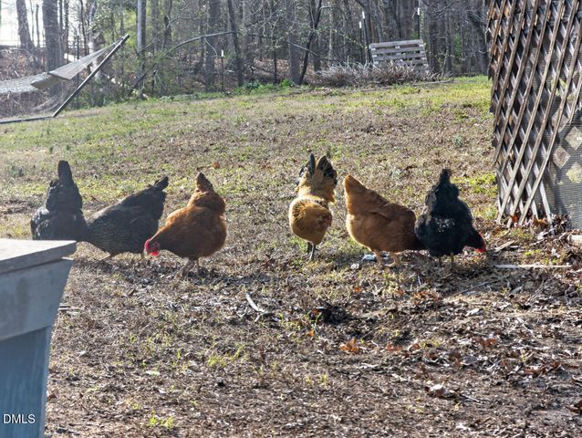 4316 Erwin Road, Durham, NC 27705