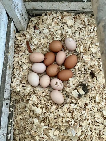 4316 Erwin Road, Durham, NC 27705