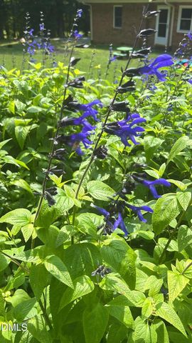 4316 Erwin Road, Durham, NC 27705