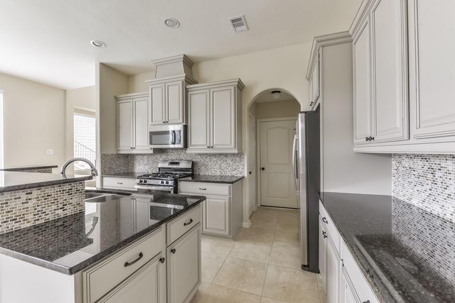 162 Cheswood Forest Place, Montgomery, TX 77316