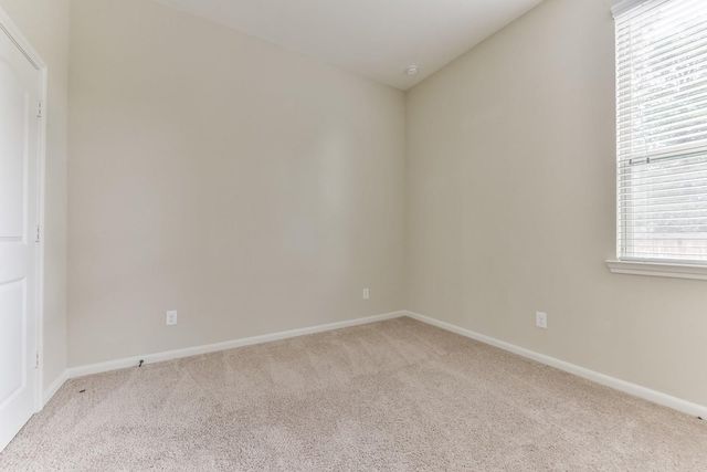 162 Cheswood Forest Place, Montgomery, TX 77316