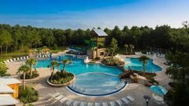 162 Cheswood Forest Place, Montgomery, TX 77316