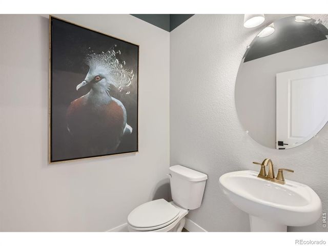 2841 Bear Springs Circle, Longmont, CO 80503