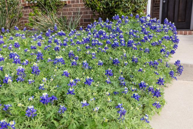 1712 Kaiser Cove, Argyle, TX 76226