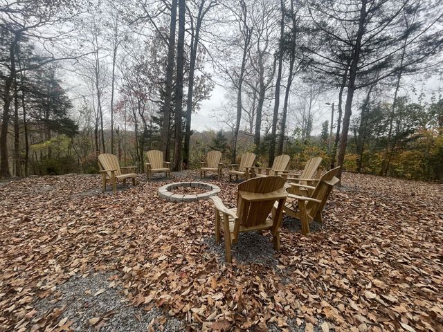 2029 Holly Creek Rd, Celina, TN 38551