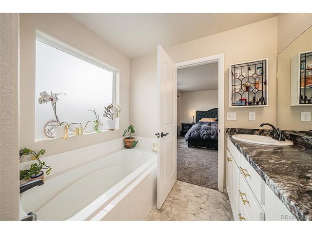 1802 Rise Dr, Windsor, CO 80550