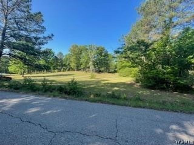 11647 Skelton, Duncanville, AL 35456