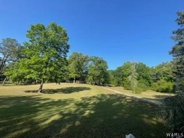11647 Skelton, Duncanville, AL 35456