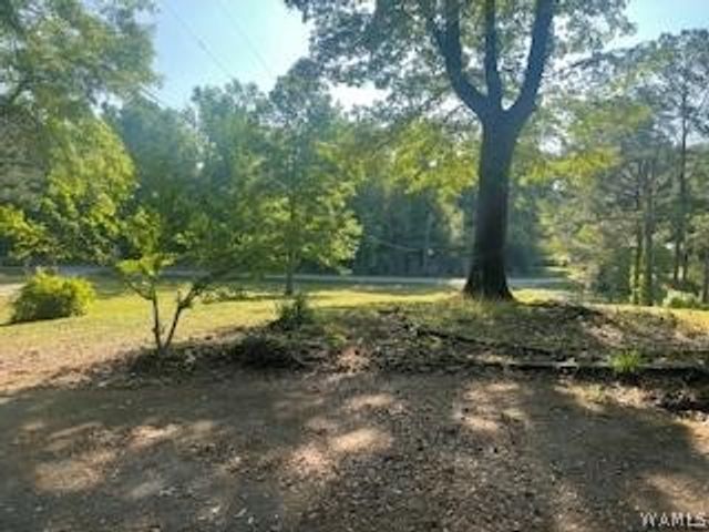 11647 Skelton, Duncanville, AL 35456