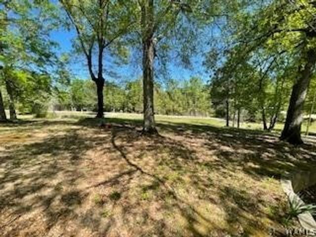 11647 Skelton, Duncanville, AL 35456