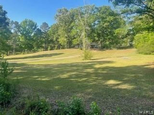 11647 Skelton, Duncanville, AL 35456