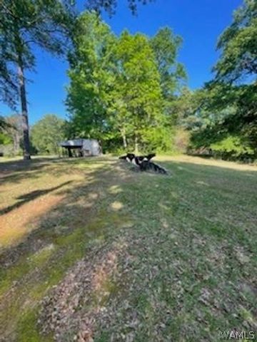 11647 Skelton, Duncanville, AL 35456