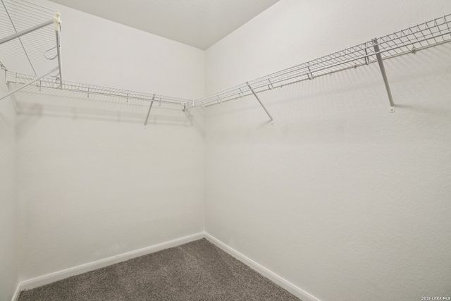 3302 Whisper Manor, Schertz, TX 78108