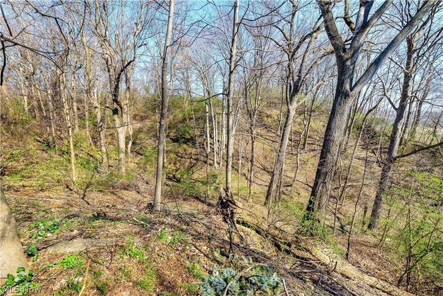 924 E Schaaf Road, Brooklyn Heights, OH 44131