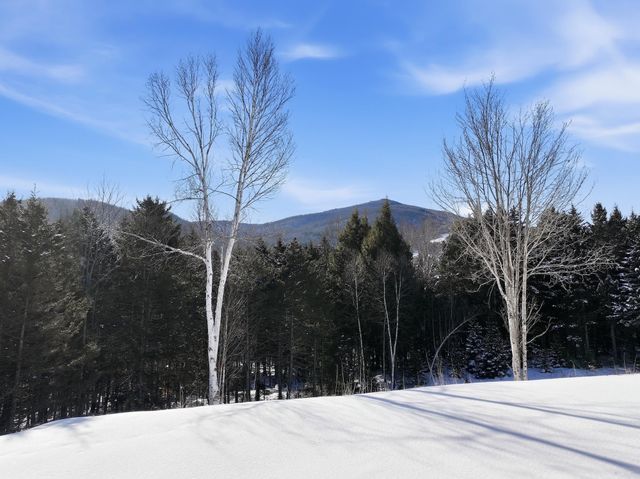 513 Deer Brook Way, Woodstock, VT 05091