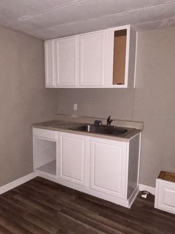 16975 SE 249TH AVENUE, Umatilla, FL 32784