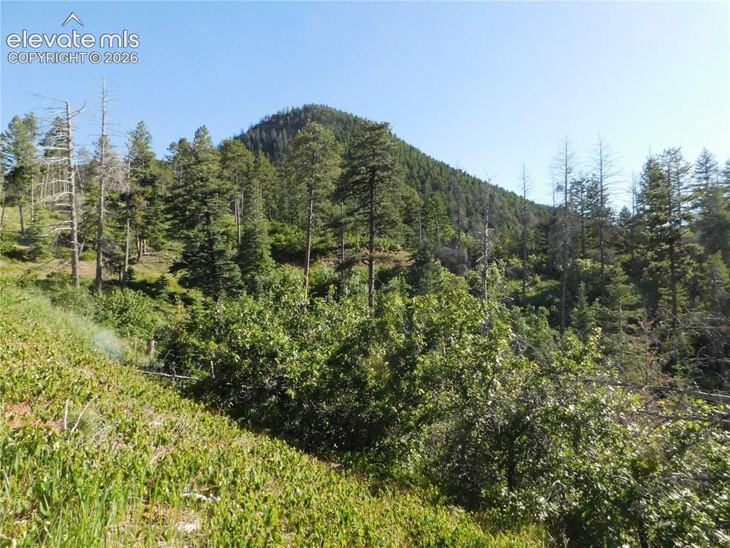 Lot 11 Cheyenne Drive, Larkspur, CO 80118 — exterior