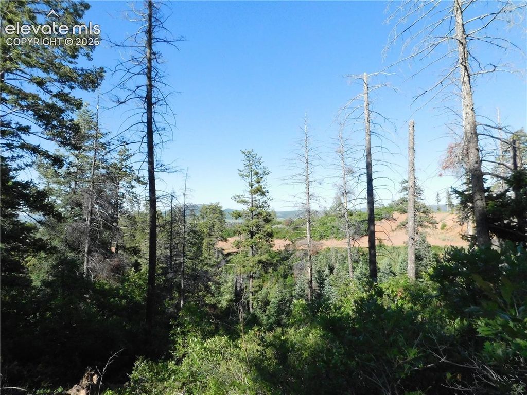 Lot 11 Cheyenne Drive, Larkspur, CO 80118 — photo 5