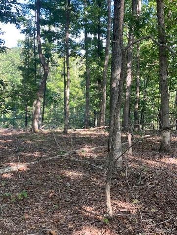 57 Madison CR 410, Fredericktown, MO 63645