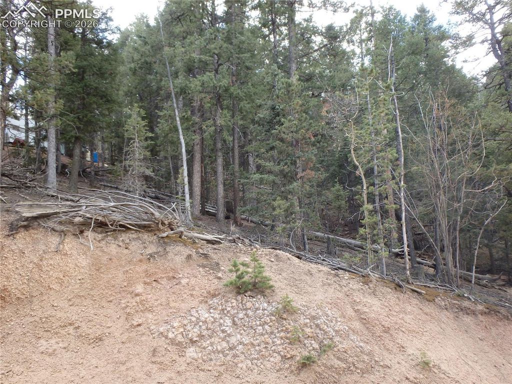 620 Wakanda Trail, Woodland Park, CO 80863 — exterior