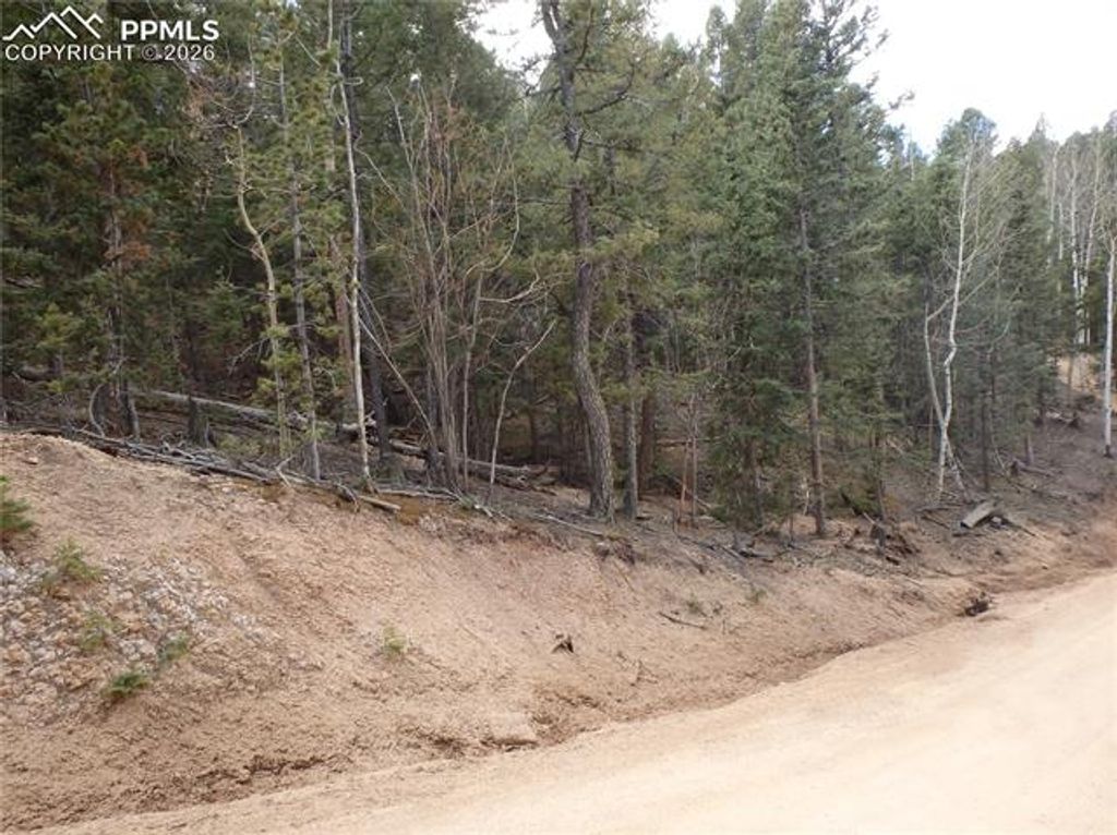 620 Wakanda Trail, Woodland Park, CO 80863 — photo 2