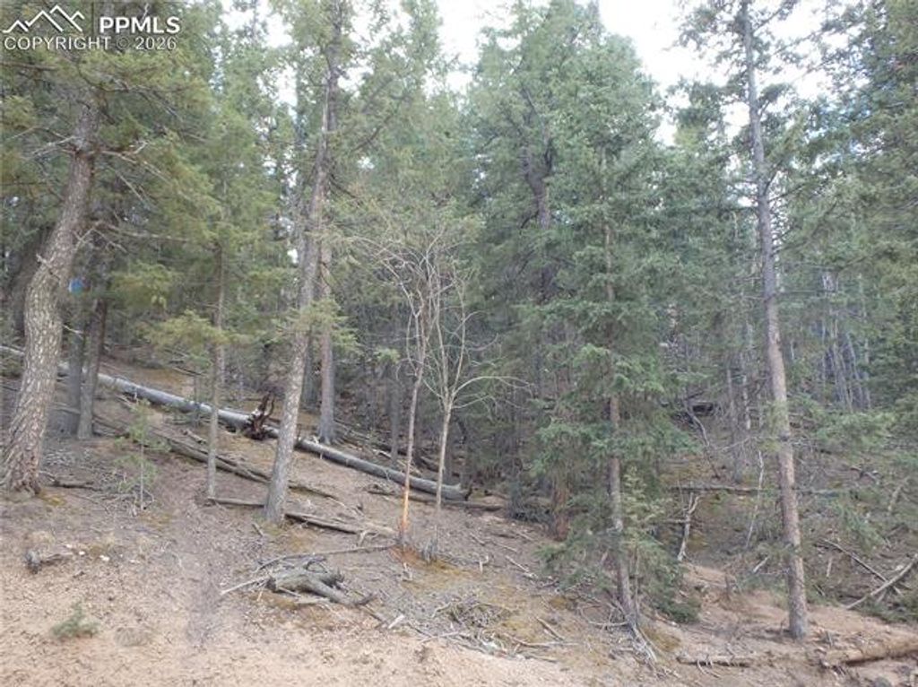 620 Wakanda Trail, Woodland Park, CO 80863 — photo 3