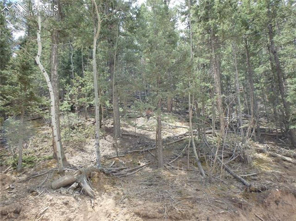 620 Wakanda Trail, Woodland Park, CO 80863 — photo 4