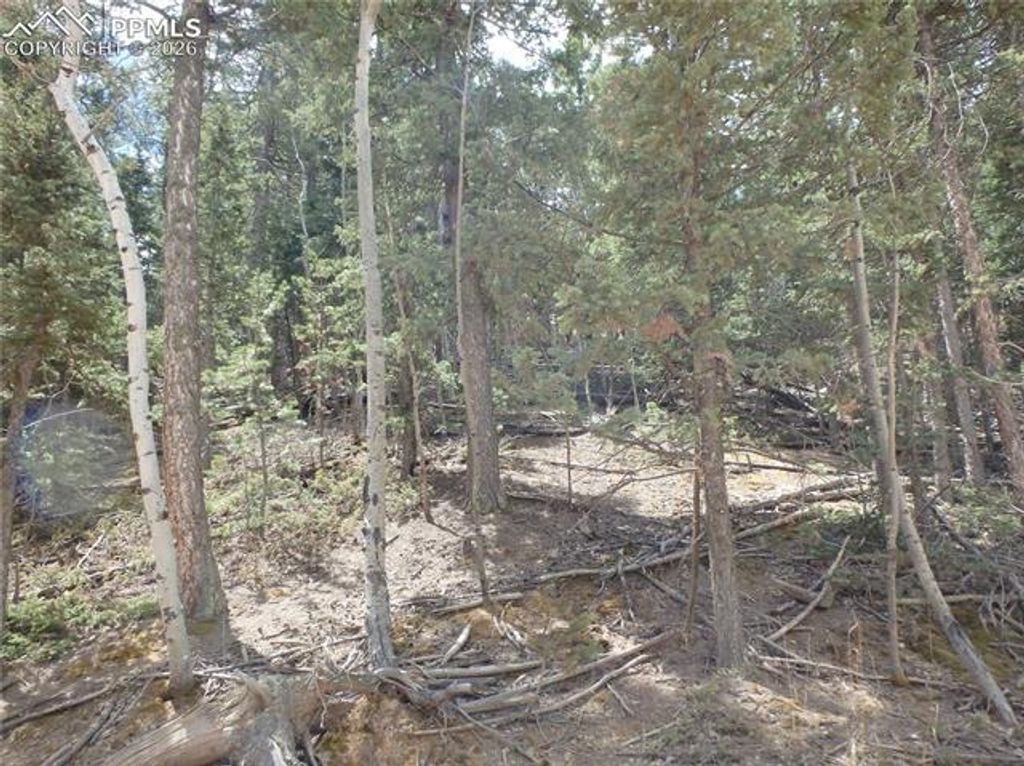 620 Wakanda Trail, Woodland Park, CO 80863 — photo 5