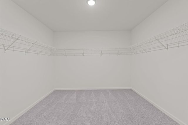 312 Cherubic Way, Rolesville, NC 27571