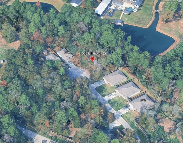 21522 Little Wolf Drive, Houston, TX 77532