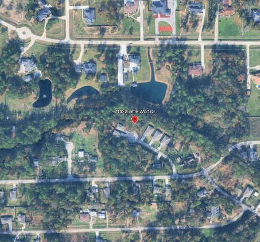 21522 Little Wolf Drive, Houston, TX 77532