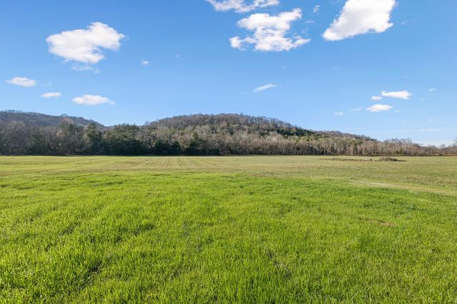 6041 Hurricane Creek Rd, Woodbury, TN 37190