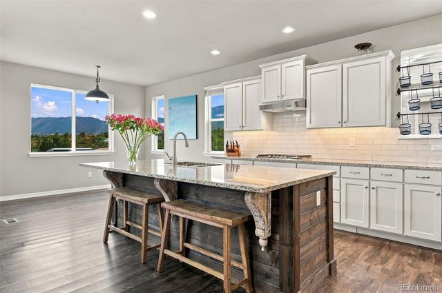 17297 Leisure Lake Drive, Monument, CO 80132