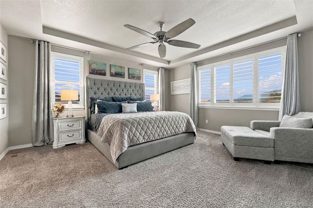 17297 Leisure Lake Drive, Monument, CO 80132
