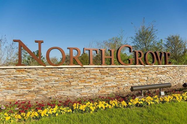 27054 Golden Knoll Drive, Magnolia, TX 77354