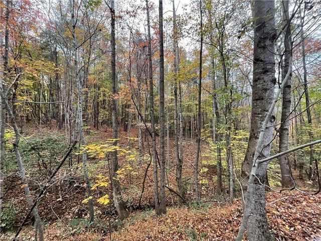 +/- 17.06 Johnson Road, King, NC 27021