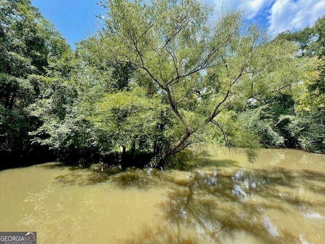 837 Linger Long Road, Sylvania, GA 30467