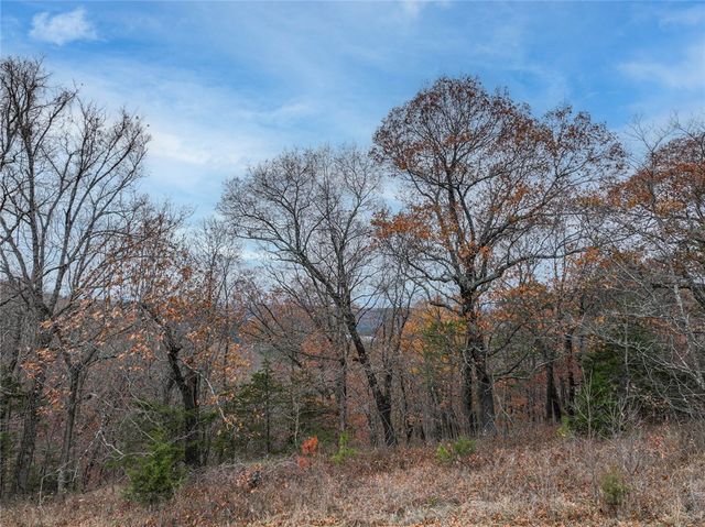 TBD Highway 23, Eureka Springs, AR 72631